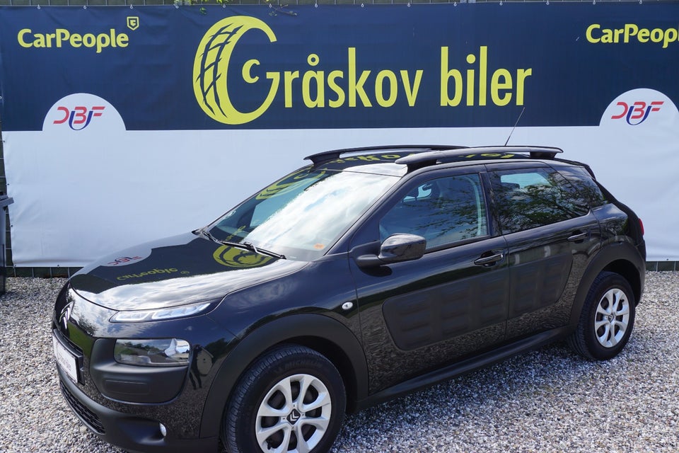 Citroën C4 Cactus 1,6 BlueHDi 100 SkyLine 5d