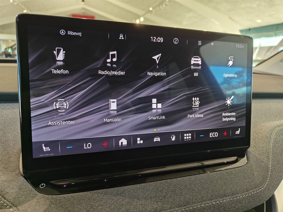 Skoda Enyaq 80 iV Loft 5d