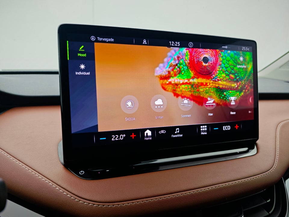 Skoda Enyaq 80 iV ecoSuite 5d