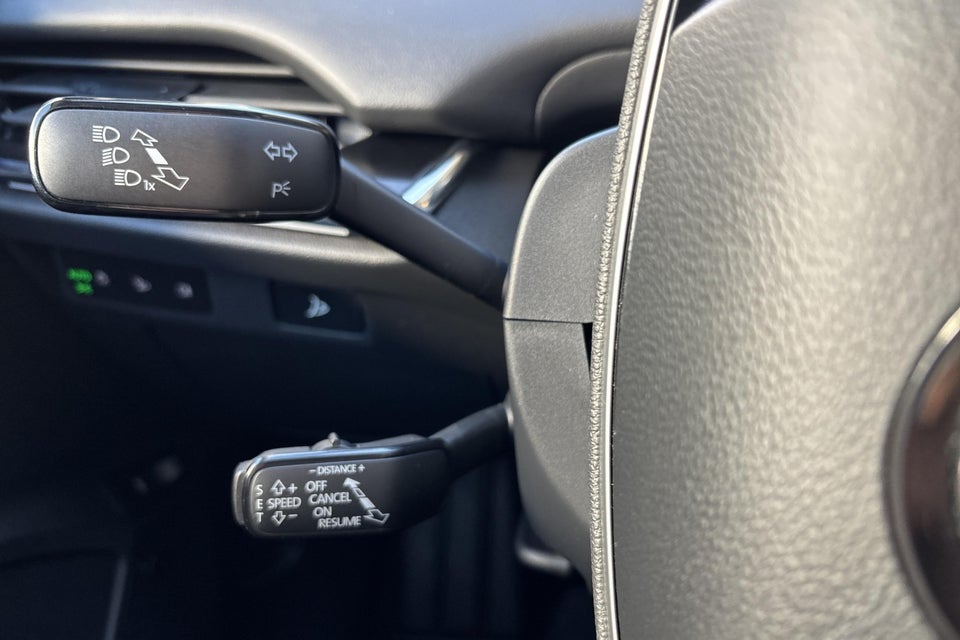 Skoda Enyaq 85x iV 5d