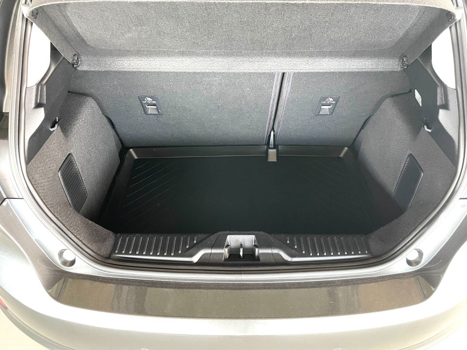 Ford Fiesta 1,0 EcoBoost mHEV Titanium 5d