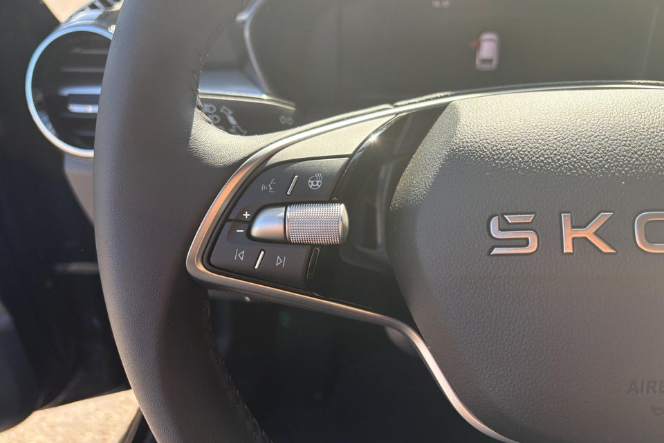 Skoda Fabia 1,0 TSi 115 Selection DSG 5d