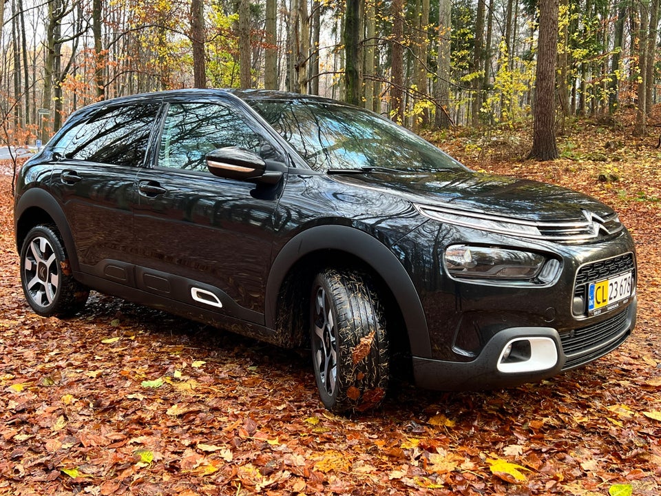 Citroën C4 Cactus 1,5 BlueHDi 100 SkyLine Van 5d