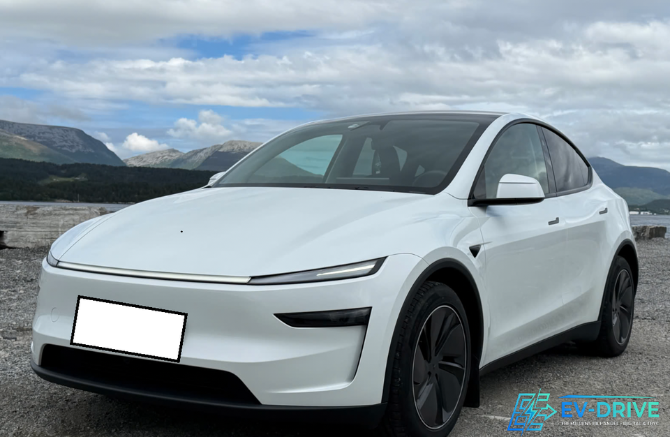Tesla Model Y Premium Long Range AWD 5d