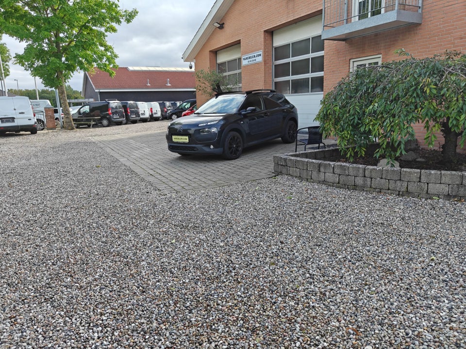 Citroën C4 Cactus 1,6 BlueHDi 100 Feel Van 5d