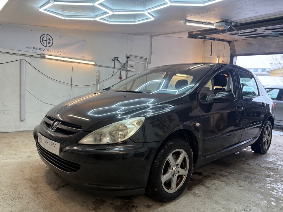 Peugeot 307 1,6 Edition 5d