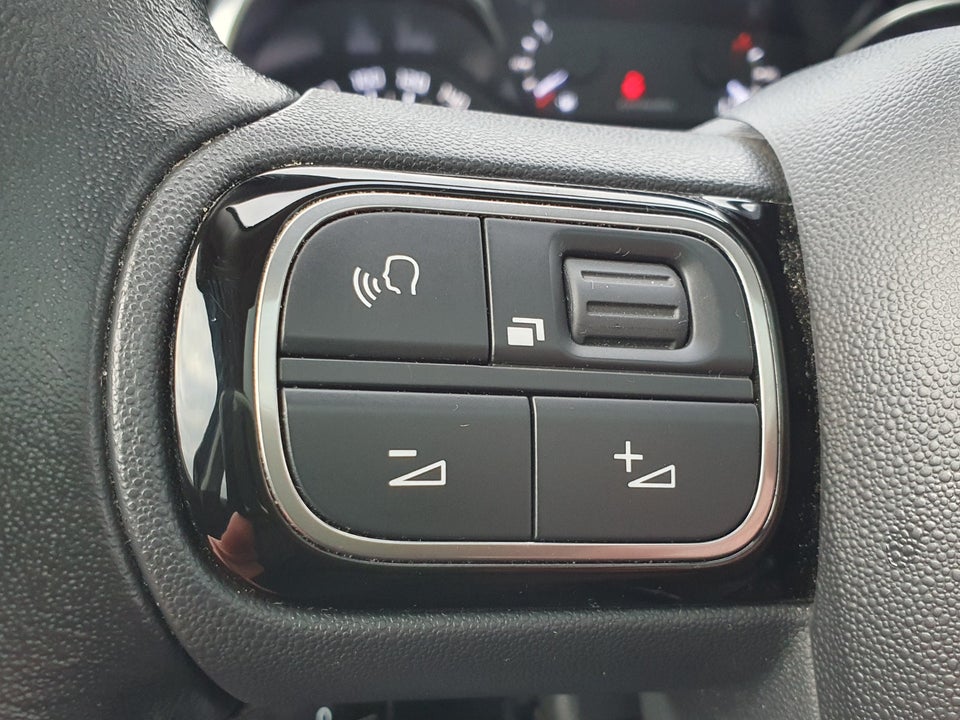 Citroën C3 1,5 BlueHDi 100 SkyLine 5d