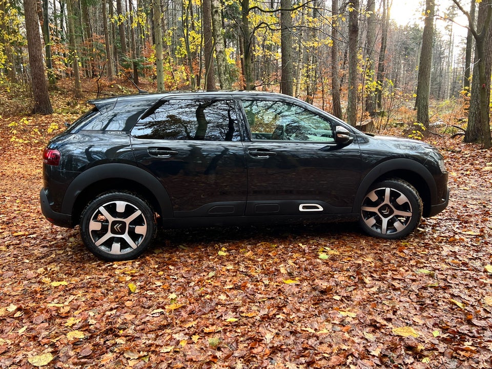 Citroën C4 Cactus 1,5 BlueHDi 100 SkyLine Van 5d