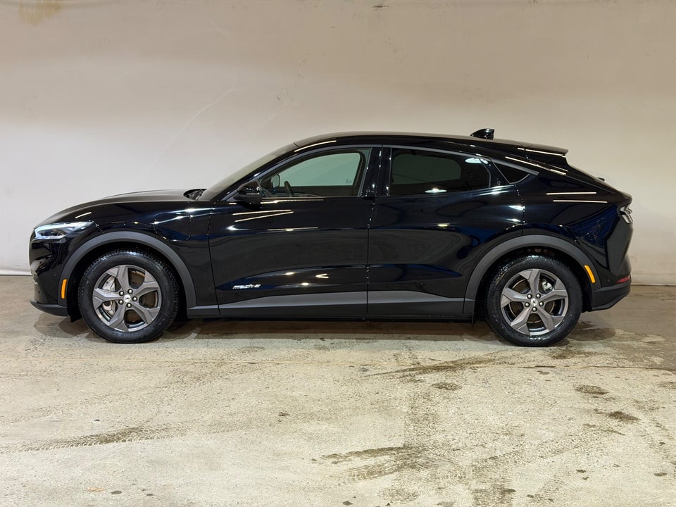 Ford Mustang Mach-E 75 Standard Range 5d