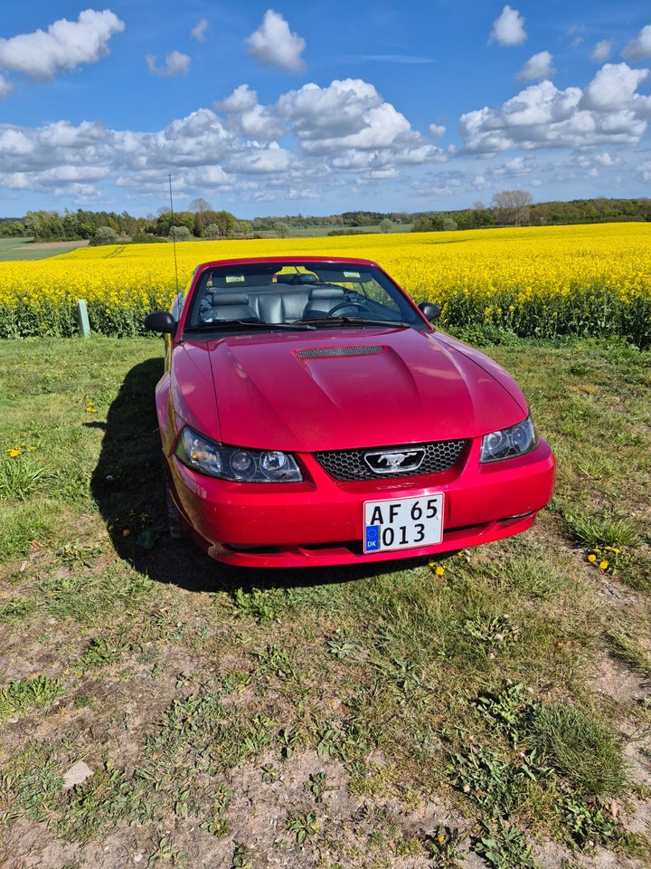 Ford Mustang 4,6 Cobra SVT Cabriolet 2d