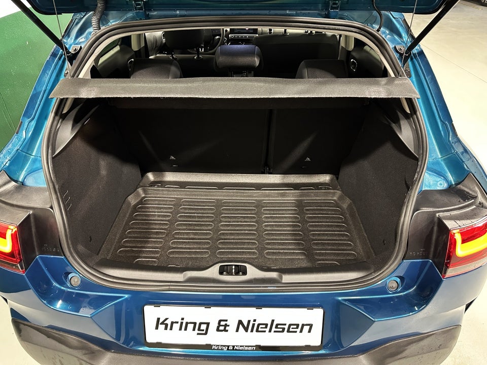 Citroën C4 Cactus 1,6 BlueHDi 100 SkyLine 5d