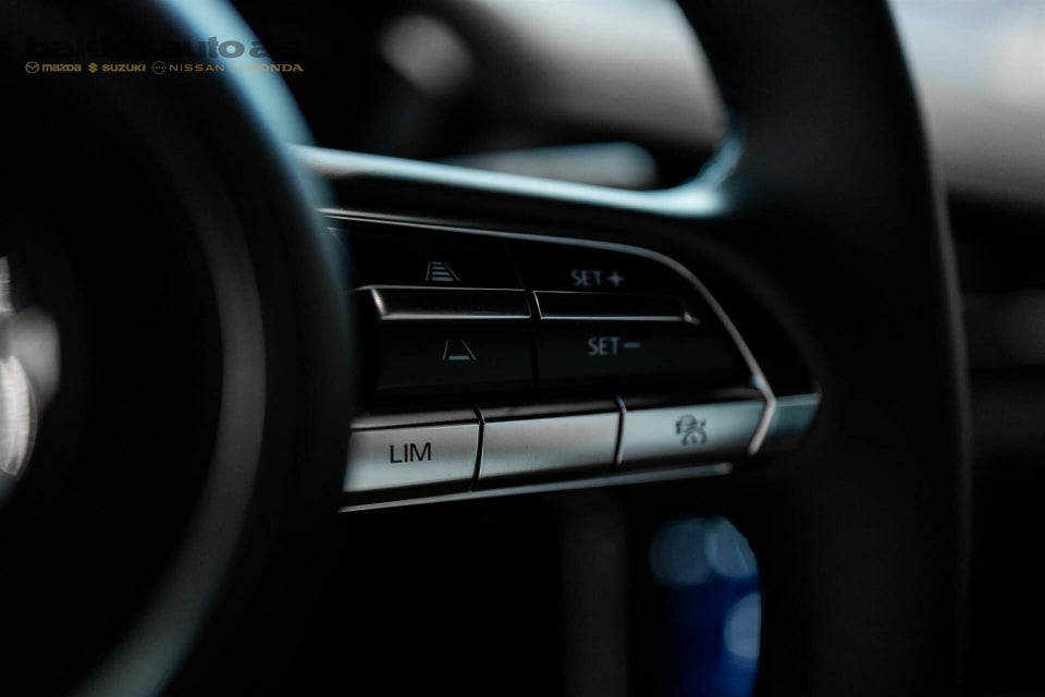 Mazda MX-30 0,8 e-SkyActiv R-EV Nagisa 5d