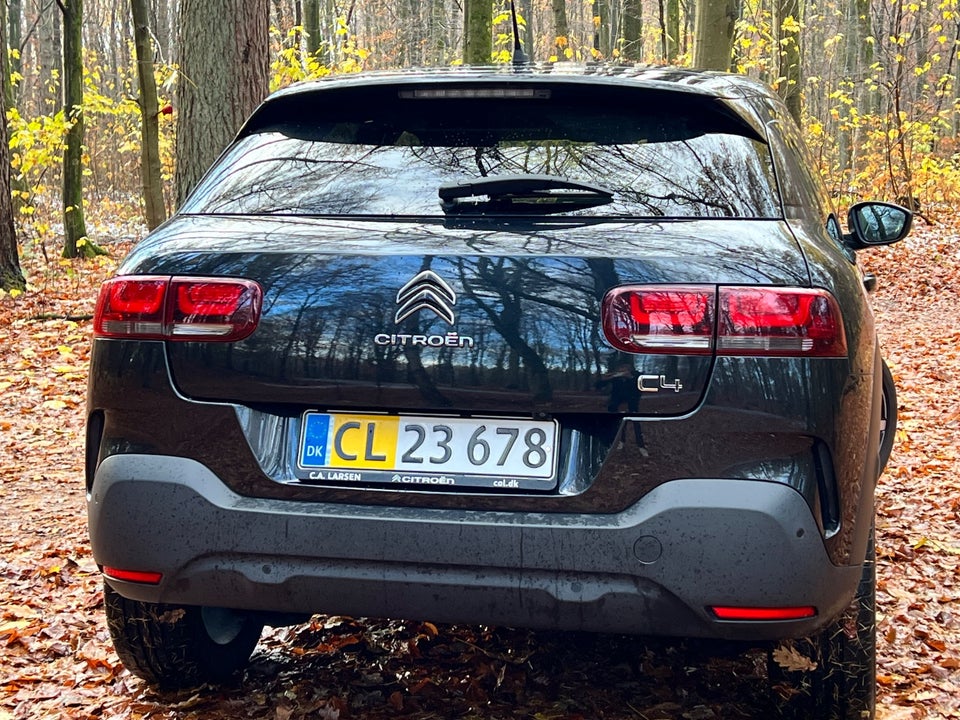 Citroën C4 Cactus 1,5 BlueHDi 100 SkyLine Van 5d