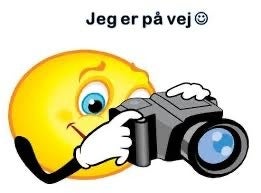 Skoda Kamiq 1,0 TSi 110 Life DSG 5d