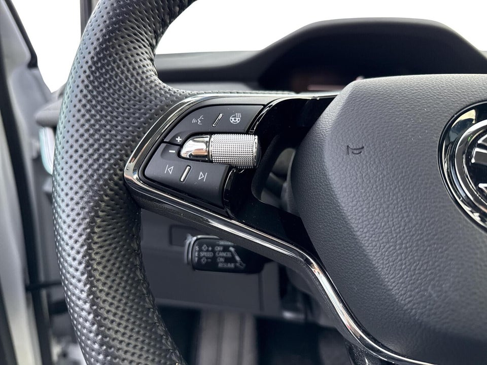 Skoda Enyaq 80 iV Plus 5d