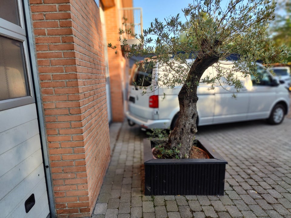 VW Transporter 2,0 TDi 150 Kassevogn DSG lang