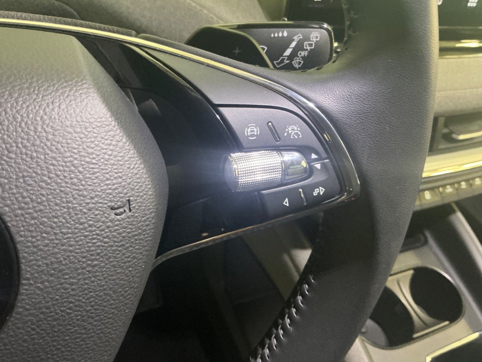 Skoda Enyaq 80 iV Van 5d