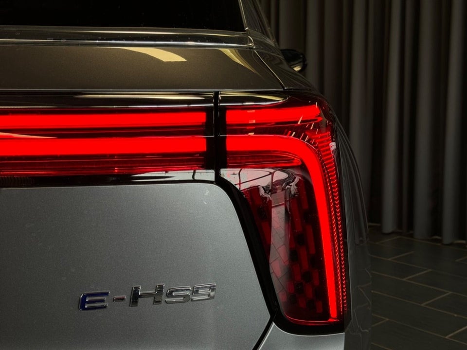 Hongqi E-HS9 99 Exclusive 5d