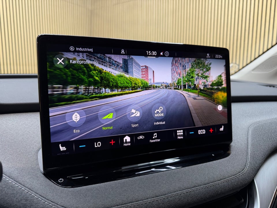 Skoda Enyaq 80 iV Plus Loft 5d