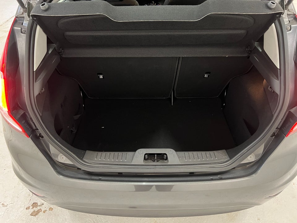 Ford Fiesta 1,0 SCTi 100 Titanium 5d