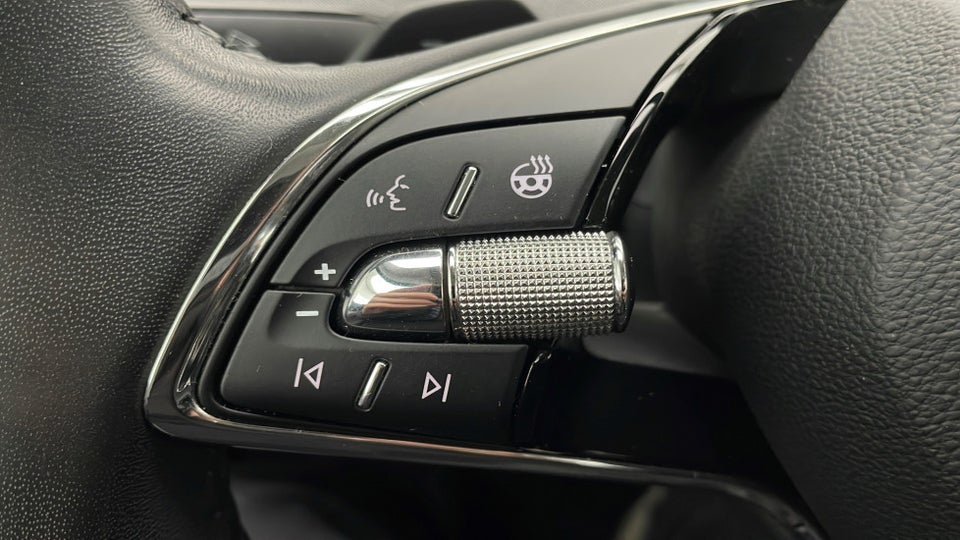 Skoda Enyaq 80 iV Plus 5d