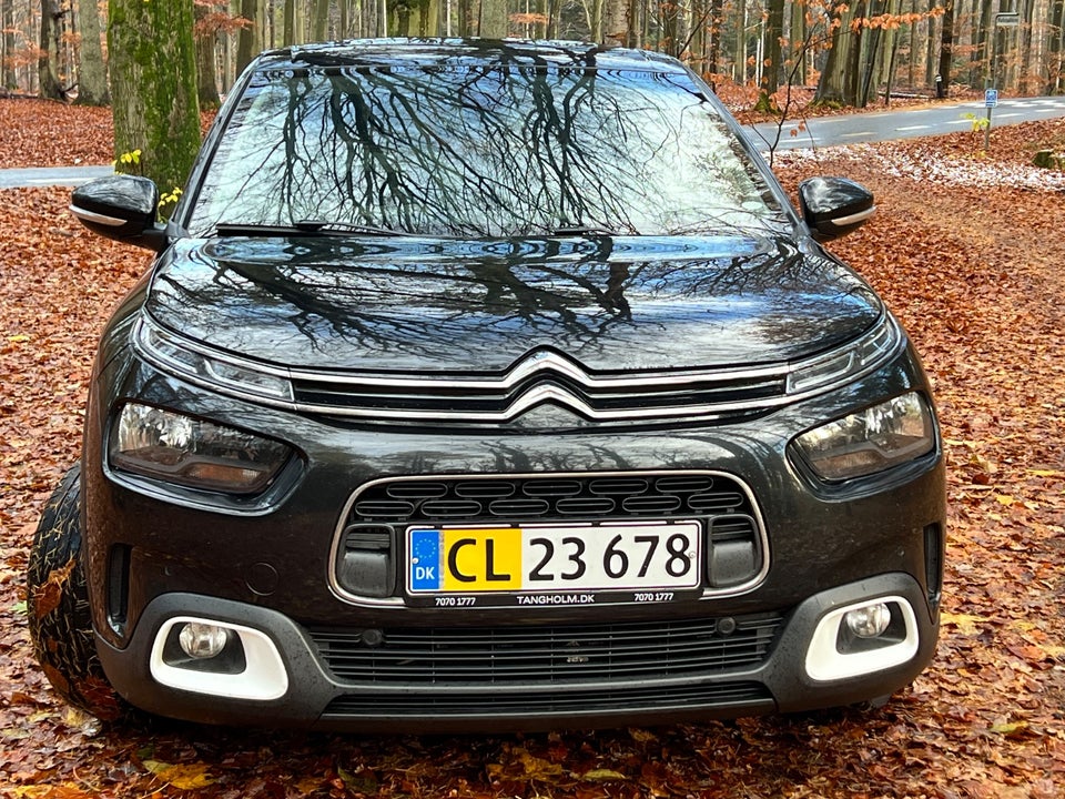 Citroën C4 Cactus 1,5 BlueHDi 100 SkyLine Van 5d