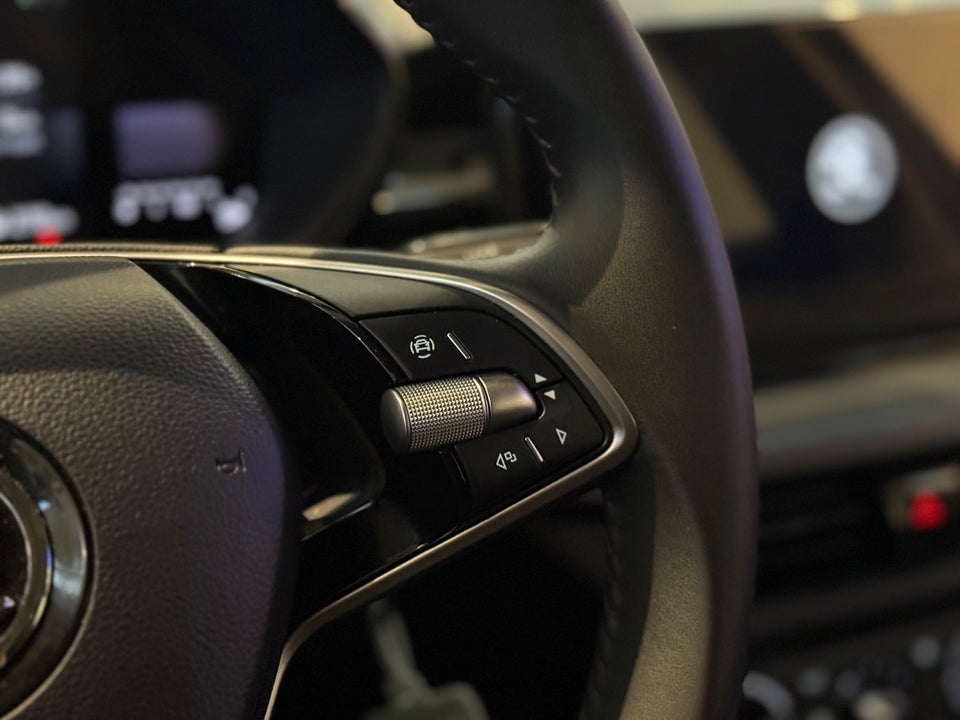 Skoda Fabia 1,0 TSi 110 Selection DSG 5d