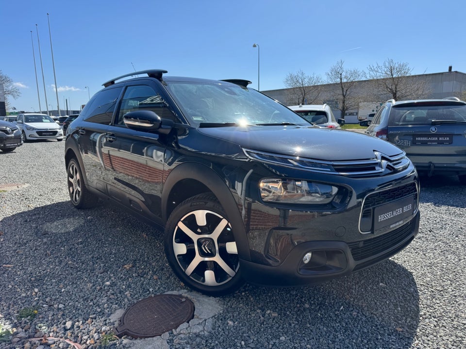 Citroën C4 Cactus 1,5 BlueHDi 100 SkyLine 5d