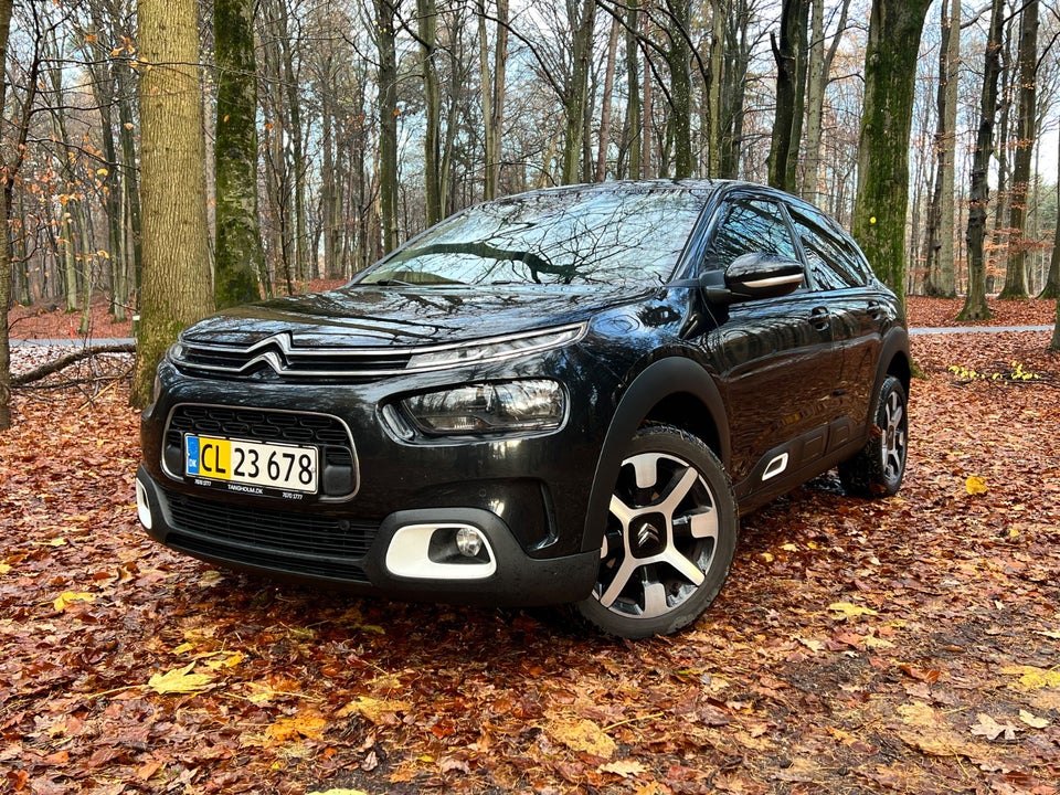 Citroën C4 Cactus 1,5 BlueHDi 100 SkyLine Van 5d