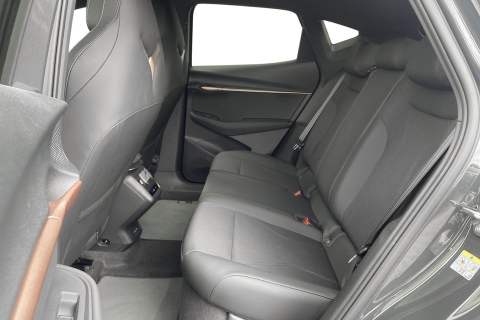 Cupra Tavascan 77 Endurance 5d