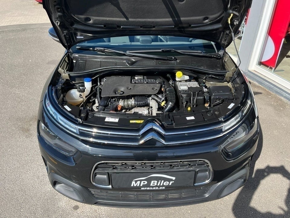 Citroën C4 Cactus 1,6 BlueHDi 100 SkyLine 5d