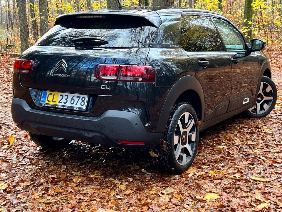 Citroën C4 Cactus 1,5 BlueHDi 100 SkyLine Van 5d