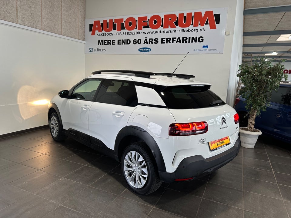 Citroën C4 Cactus 1,5 BlueHDi 100 SkyLine Van 5d