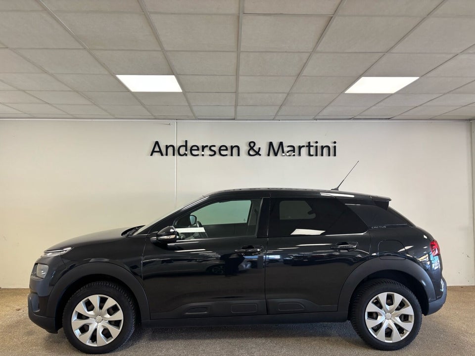 Citroën C4 Cactus 1,2 PureTech 110 Iconic 5d