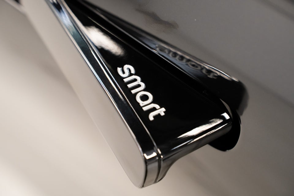 Smart #1 66 Premium 5d