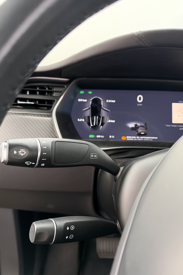 Tesla Model X 100D 6prs 5d