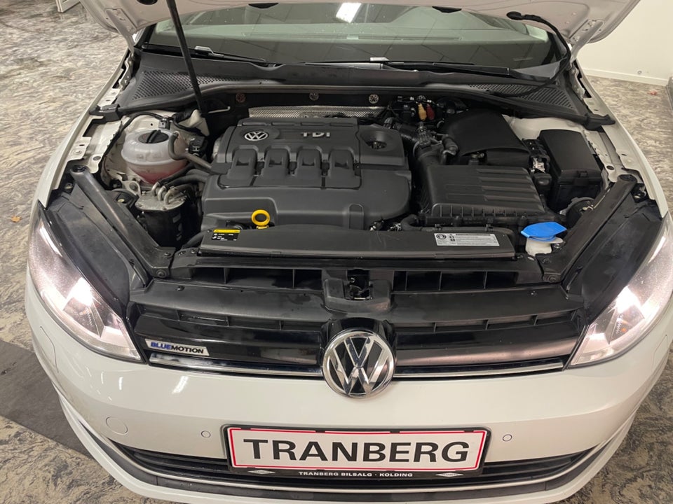 VW Golf VII 1,6 TDi 110 BlueMotion Van 5d