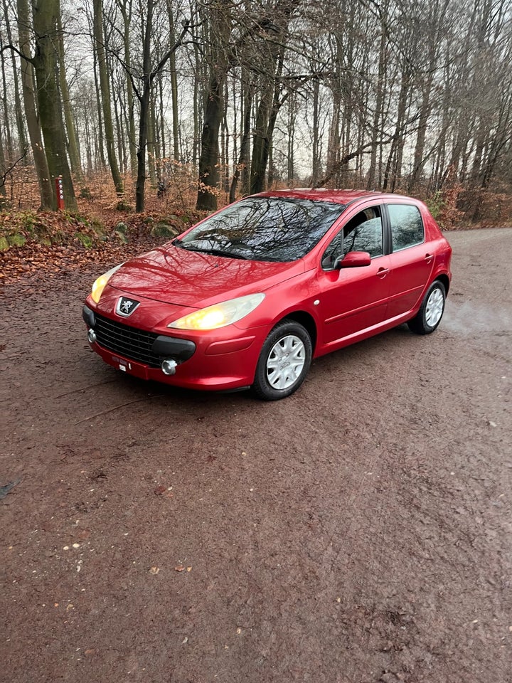 Peugeot 307 1,6 Edition 5d