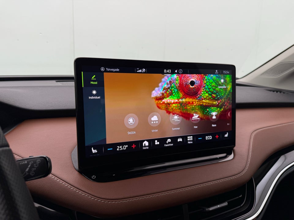 Skoda Enyaq 80 iV ecoSuite 5d