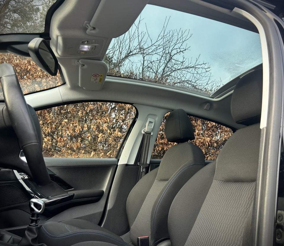 Peugeot 208 1,5 BlueHDi 100 Signature Sky 5d