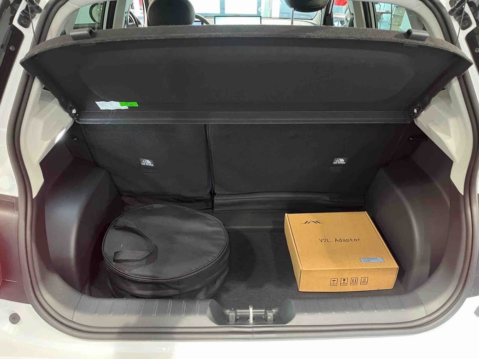 JAC E30X 50 Nordic Edition 5d