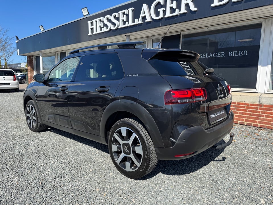 Citroën C4 Cactus 1,5 BlueHDi 100 SkyLine 5d