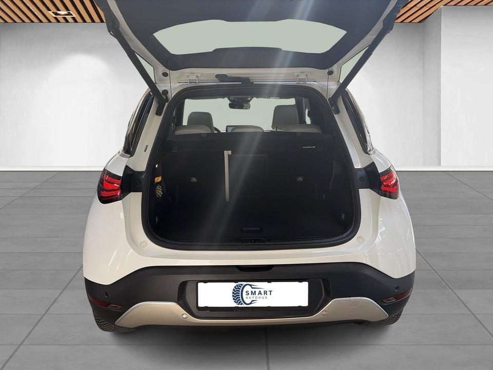 Smart #1 66 Premium 5d
