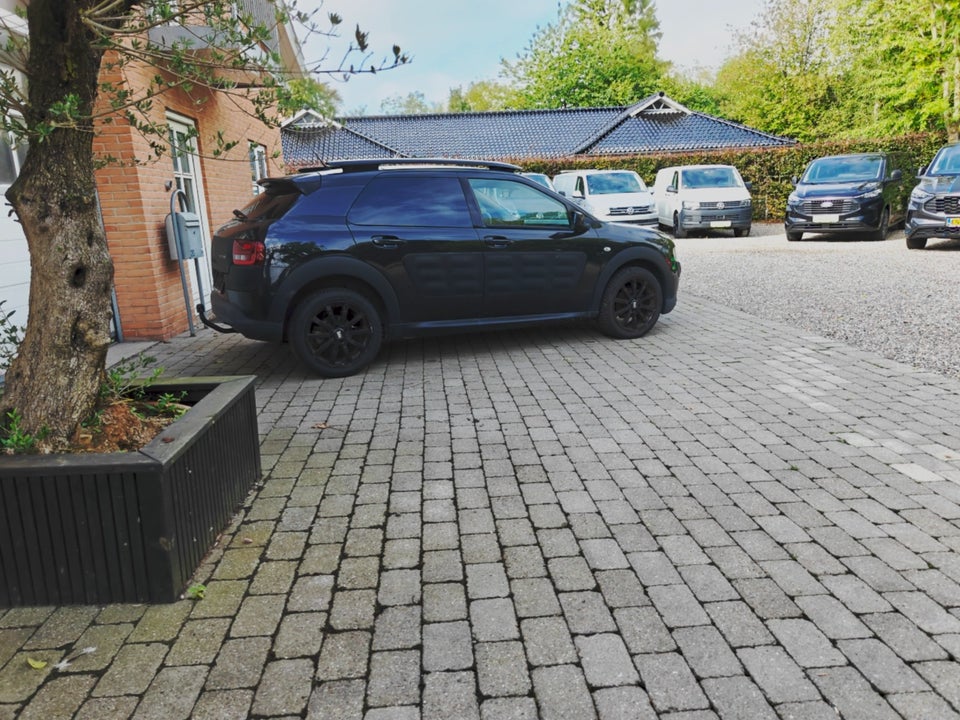 Citroën C4 Cactus 1,6 BlueHDi 100 Feel Van 5d