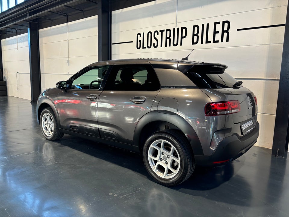 Citroën C4 Cactus 1,2 PureTech 110 SkyLine EAT6 5d