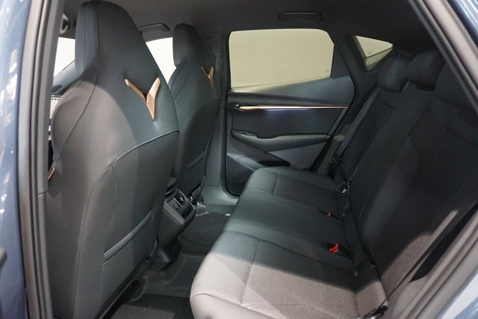 Cupra Tavascan 77 Endurance 5d