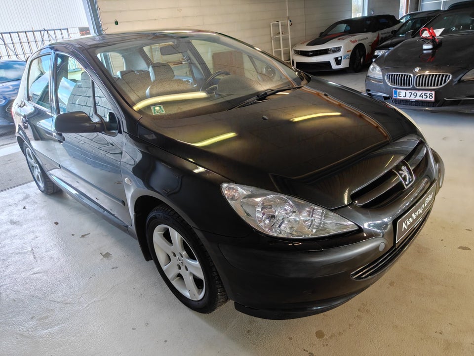 Peugeot 307 2,0 XS 5d