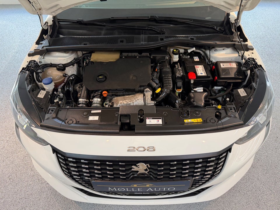 Peugeot 208 1,5 BlueHDi 100 Infinity Sky 5d