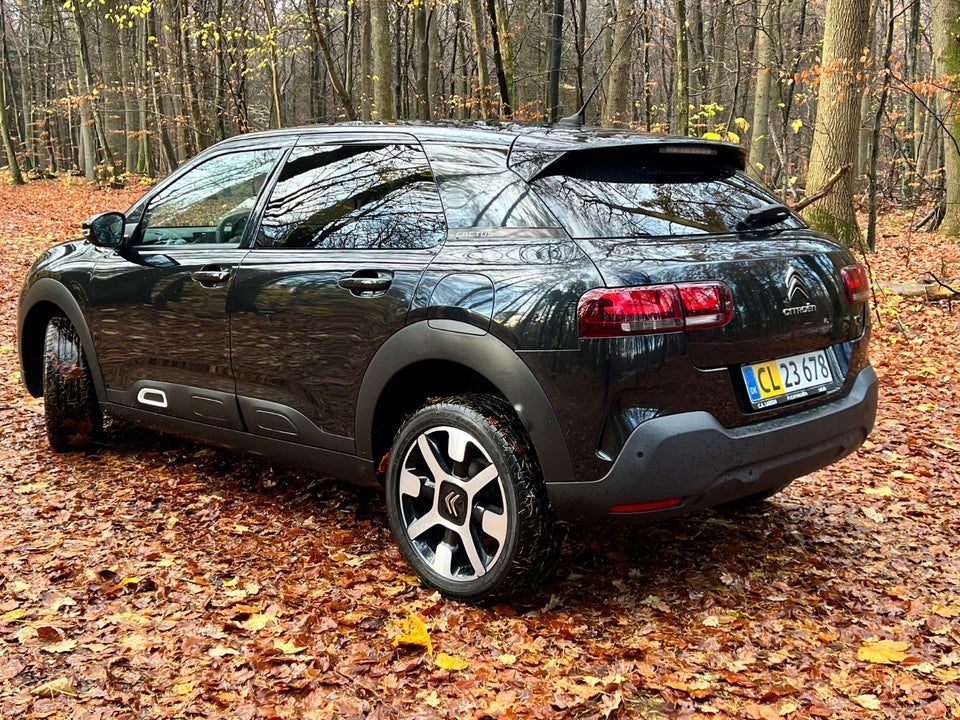 Citroën C4 Cactus 1,5 BlueHDi 100 SkyLine Van 5d