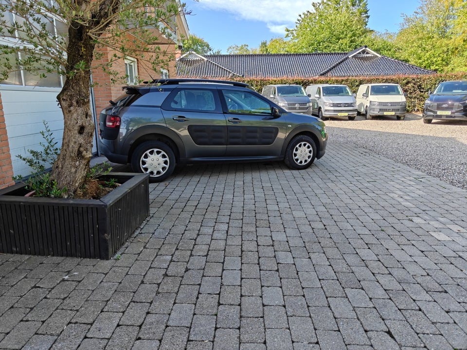 Citroën C4 Cactus 1,6 BlueHDi 100 Feel Van 5d